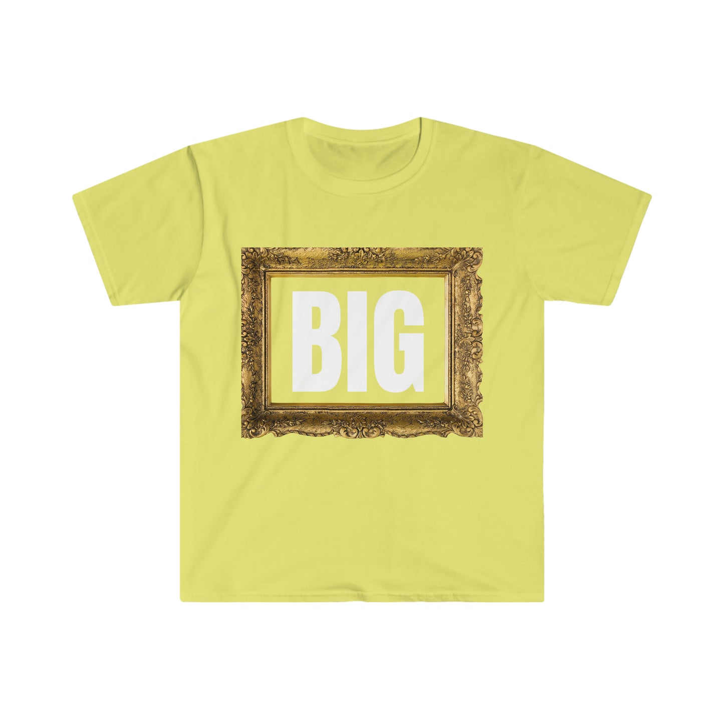 BIG Picture WHT T-Shirt