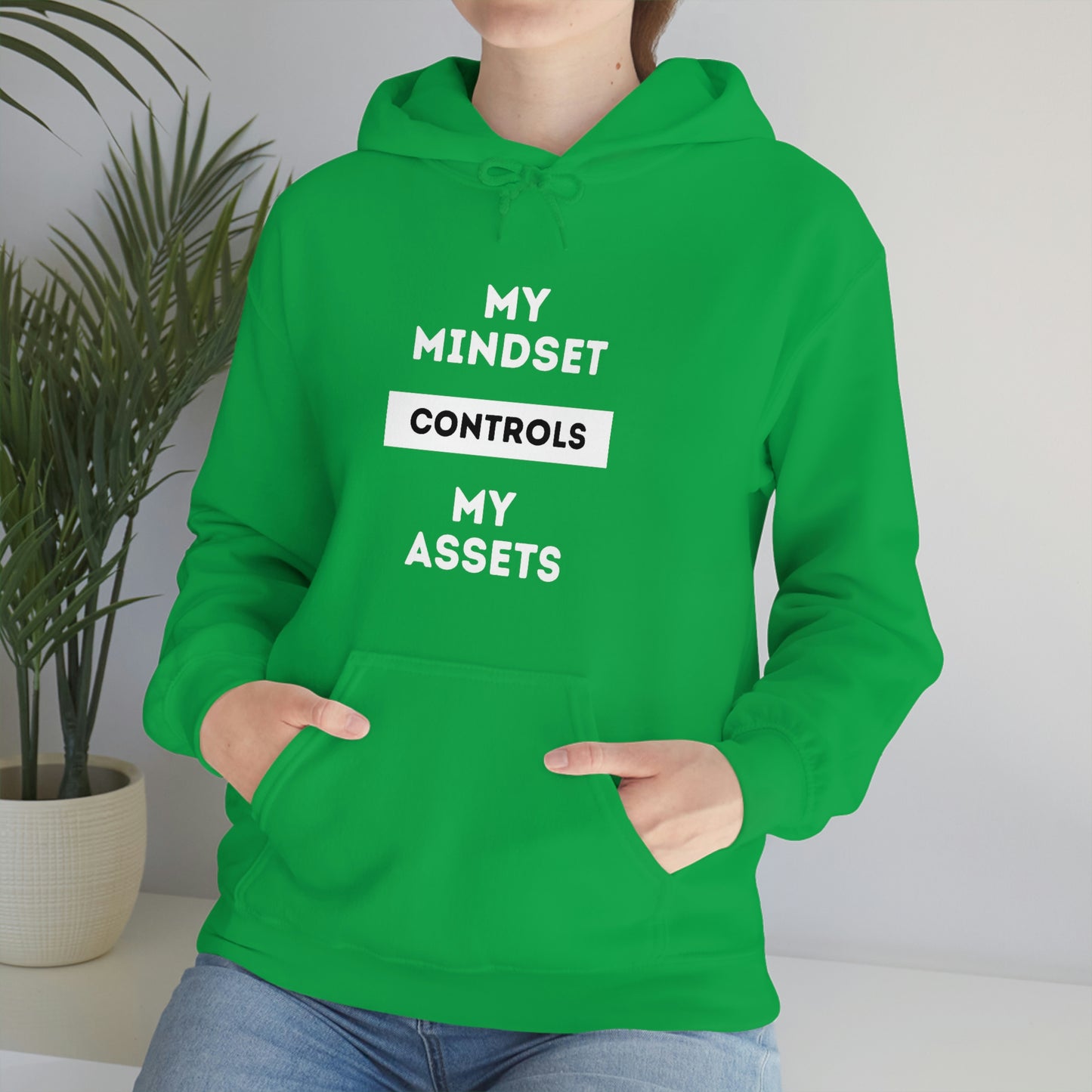 My Mindset Controls My Assets Hoodie