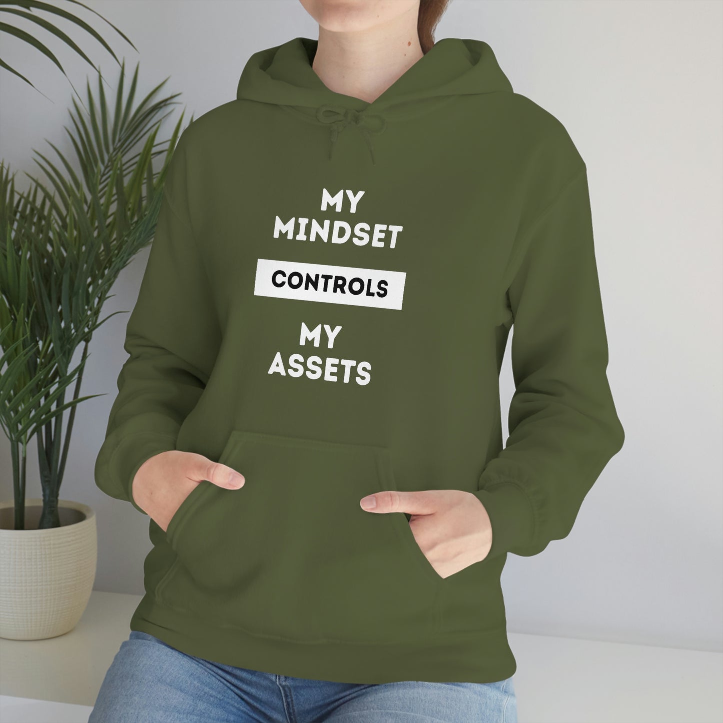 My Mindset Controls My Assets Hoodie