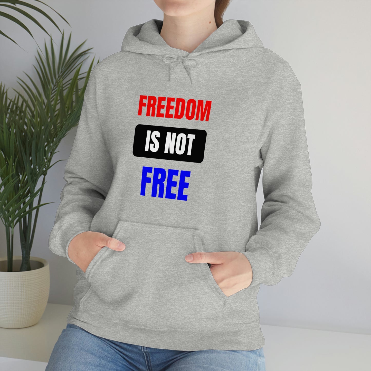 Freedom Is Not Free RedWhtBlu Hoodie