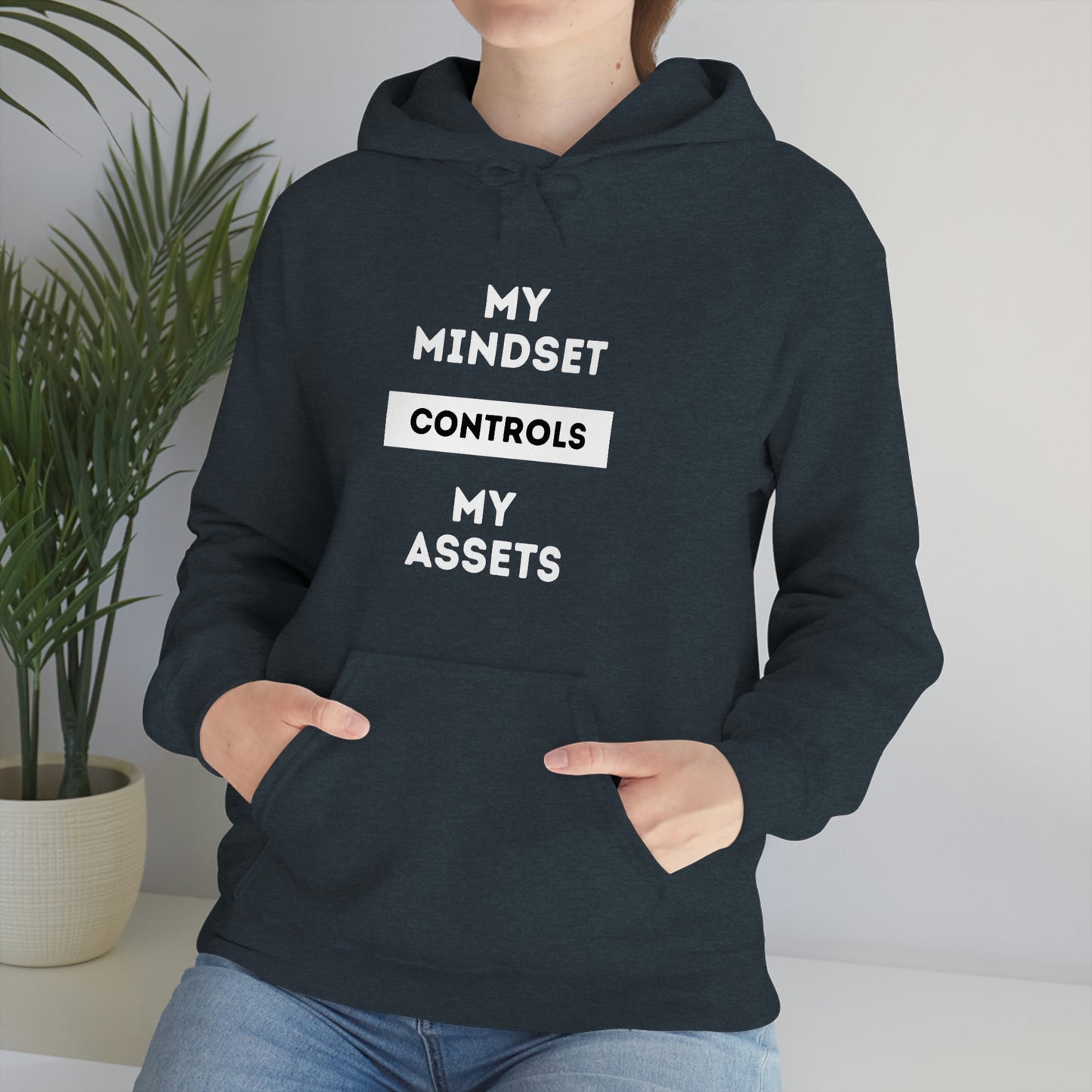 My Mindset Controls My Assets Hoodie